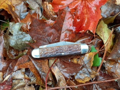 thumbnail_20201017_101500.jpg