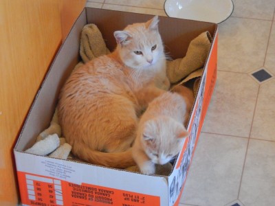 DSCN3971.JPG