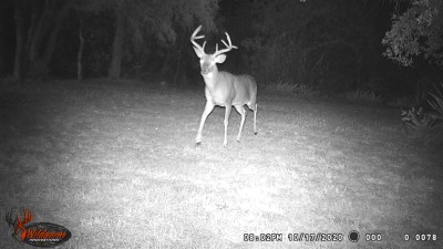 Big Guy