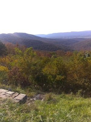 IMG_20201018_144635117.jpg