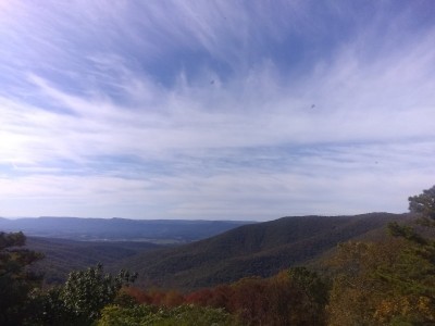IMG_20201018_144536360.jpg