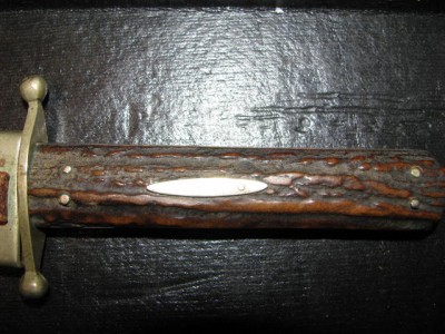Stag0023.jpg