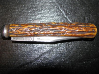 Stag0027.jpg