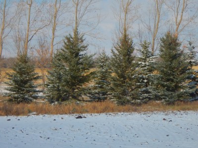 DSCN4030.JPG
