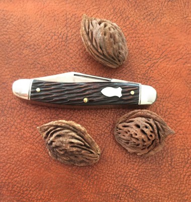 EDC447b.jpg