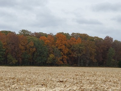 20201024_112033.jpg