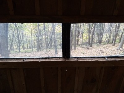 IMG_20201024_131437809.jpg