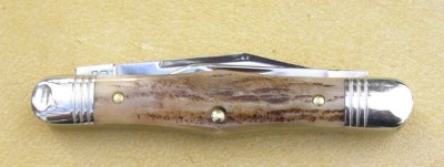 IMGP9905.JPG