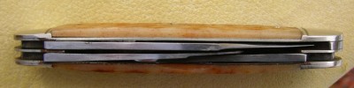 IMGP9913.JPG