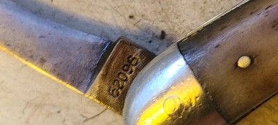 20201027_154404.jpg