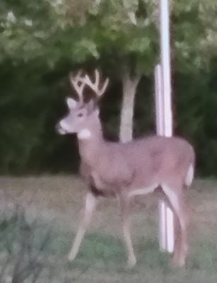 20201031_105338.jpg