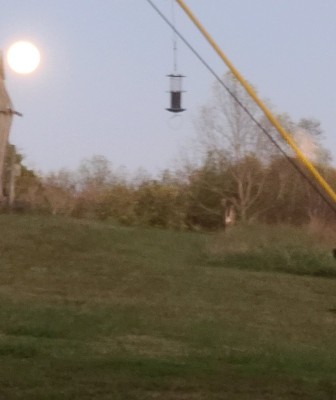 20201031_105529.jpg