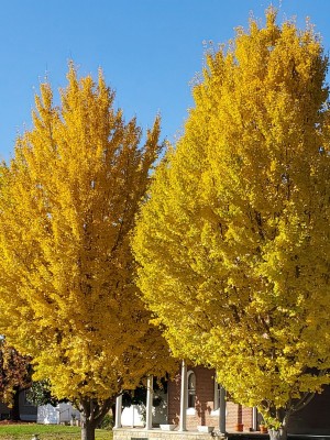 20201101_091711.jpg