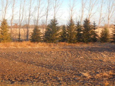 DSCN4076.JPG