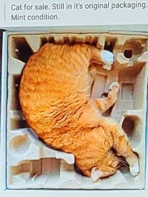 20201103_093139.jpg
