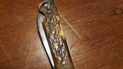 20201105_121734.jpg