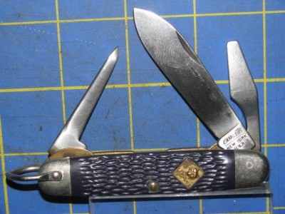 CamillusCubScout1.JPG