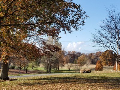 20201108_082308.jpg