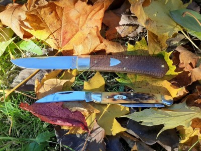 thumbnail_20201108_121047.jpg