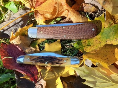 thumbnail_20201108_121125.jpg