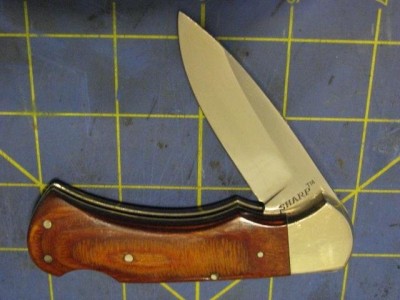 Sharp440StainlessJapan18301.JPG