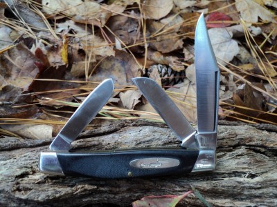 Buck 301 early 1973.JPG