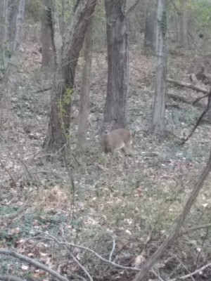 2020-11-21_09-47-44_-_hiking.jpg