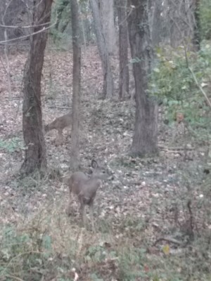 2020-11-21_09-48-34_-_hiking.jpg