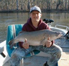 Murray Cod -2.jpg