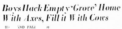 image.jpeg