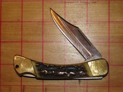 Puma905 1.jpg