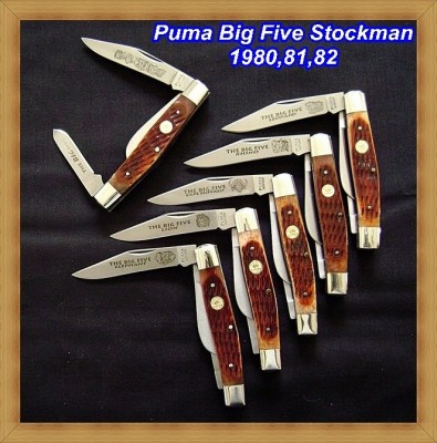 Puma_Big_Five_Framed - Labeled & Dated.JPG