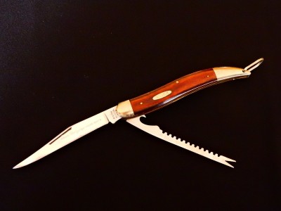 DSCN6527.JPG