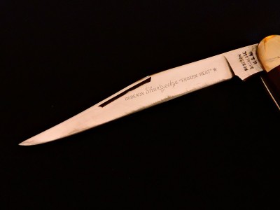 DSCN6541.JPG
