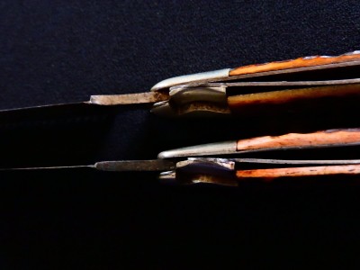 DSCN6576.JPG
