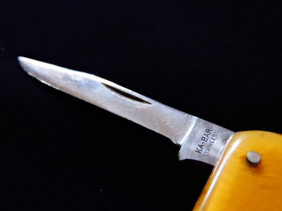 DSCN6596.JPG