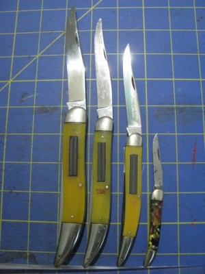 Fish2019 001.jpg