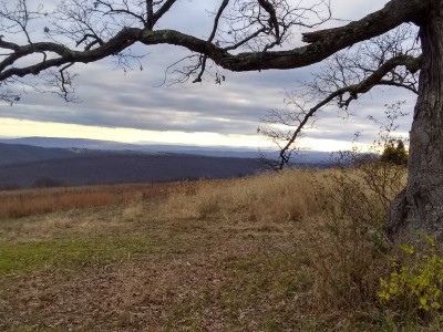 IMG_20201126_160728113_HDR.jpg
