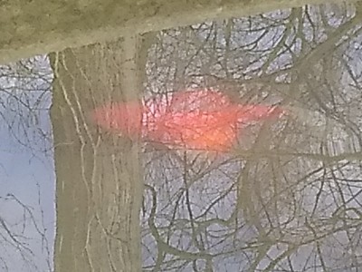 IMG_20201127_110027741.jpg