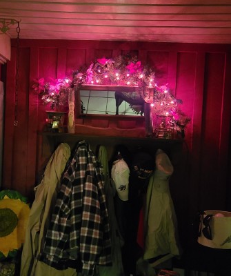 20201203_082434.jpg