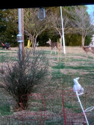 20201202_170311.jpg