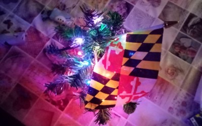 IMG_20201204_213646_455.jpg
