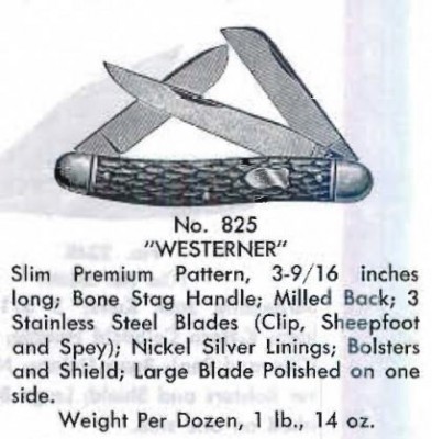 825 - 1953 catalog.JPG