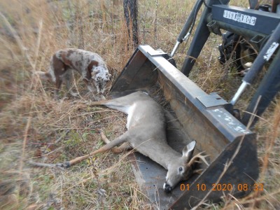 006.JPG (297.99 KiB) Viewed 2747 times In the loader bucket.