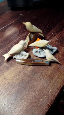 P_20201209_111323.jpg