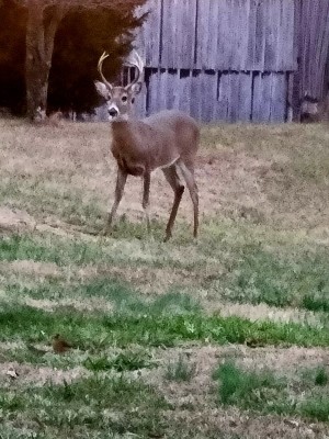 20201214_172123.jpg