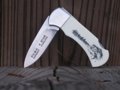 Puma $45.00.JPG