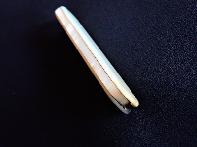 DSCN7835.JPG