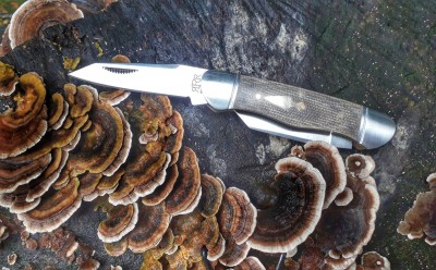 20201223_100344-01.jpeg