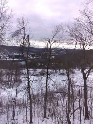IMG_20201228_092120218.jpg